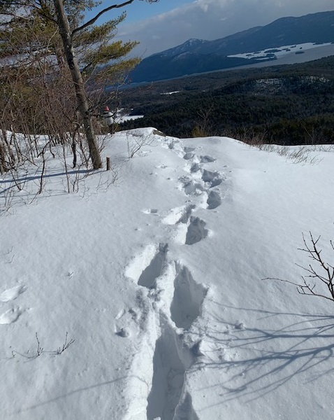 Cat Mountain peak after snowshoeing