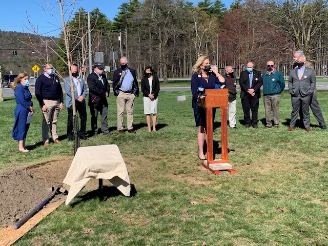 tree ceremony