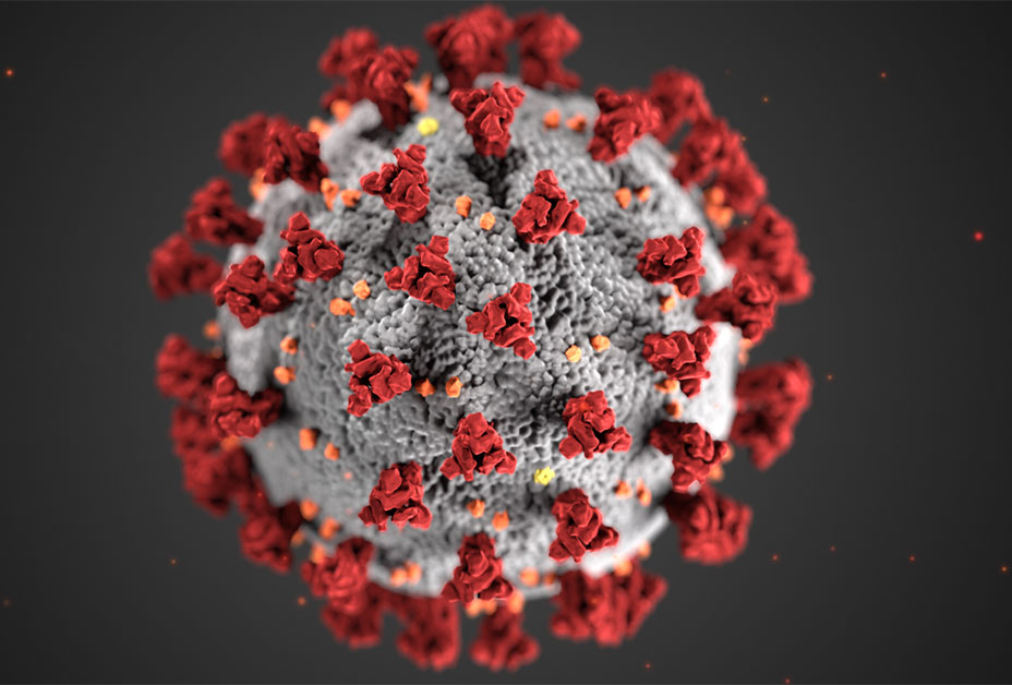 coronavirus