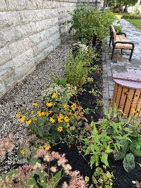 raingarden