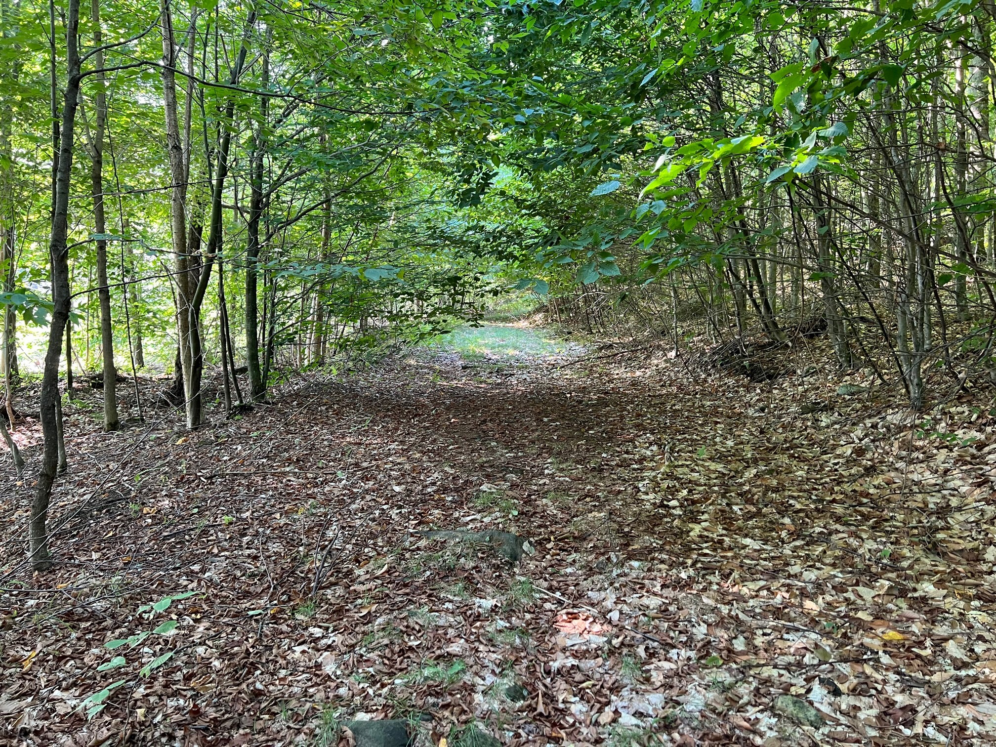 aldenwoods