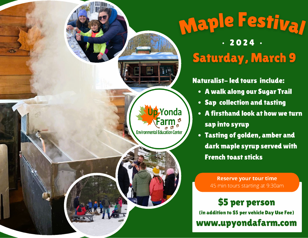 maplefest