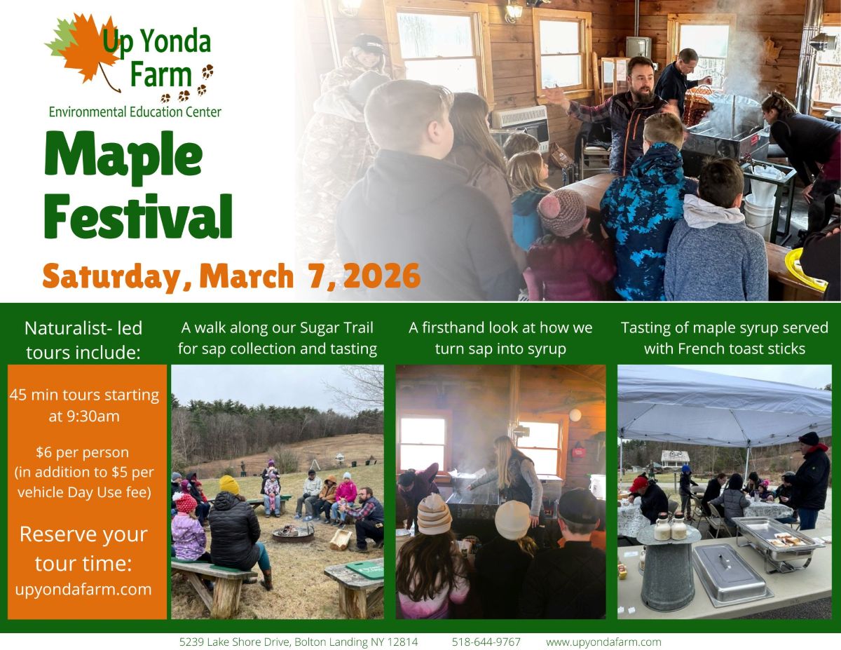 flyer shotwing someone boiling sap to make mapley syrup to promote Up Yonda Farm's Maple Festival on March 7, 2026