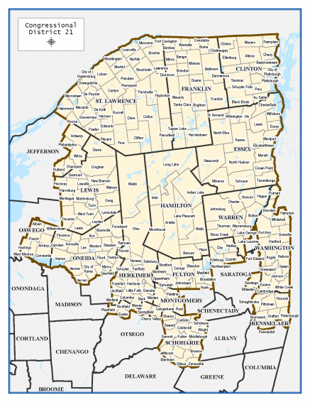 Congressional District 21