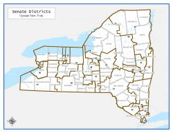 Senatorial District Map