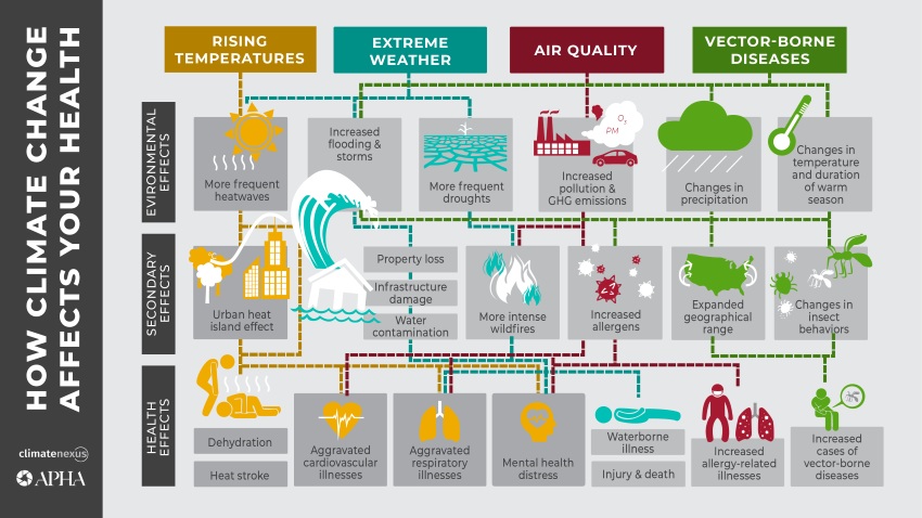 Climate Change Effect Diagram