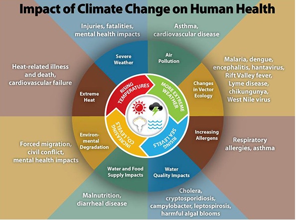 Climate Change Impact Diagram