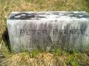 Peter Pelkey