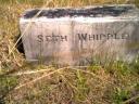 Seth Whipple