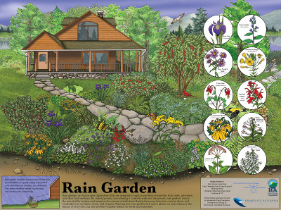 Rain Garden Poster